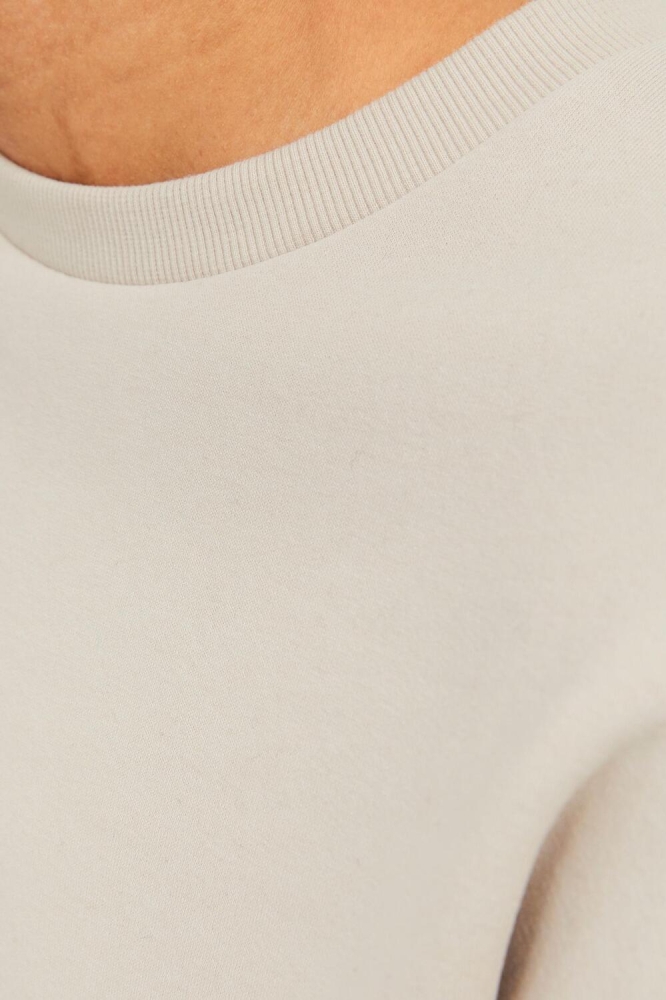 JJEBRADLEY SWEAT CREW NOOS 12249341 Moonbeam